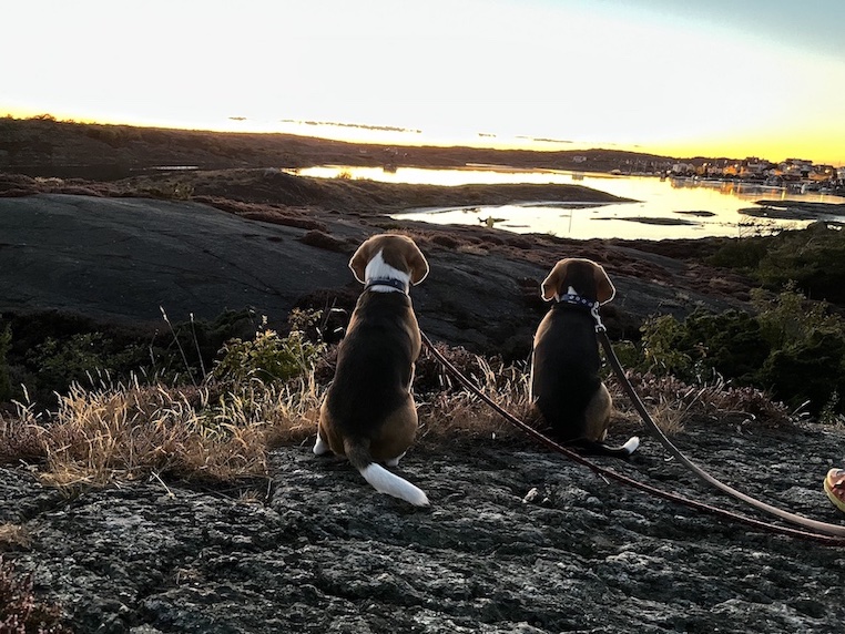 Piet und Bert (und wir natürlich auch) haben viele wunderschöne Sonnenuntergänge erleben dürfen