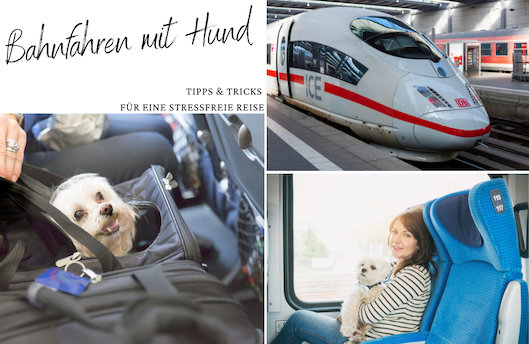 Bahnfahren mit Hund - Tipps für eine stressfreie Reise