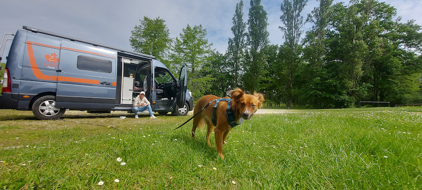 Roadtrip mit Hund durch Frankreich und Italien - Sara