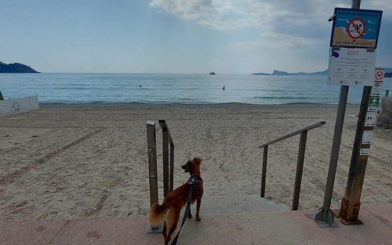 An den Badestränden in Saint-Cyr-sur-Mer sind Hunde nicht erlaubt