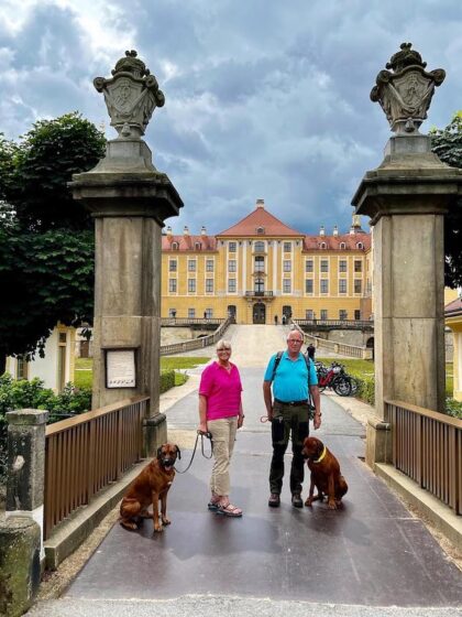 Meissen mit Hund - Schloss Moritzburg