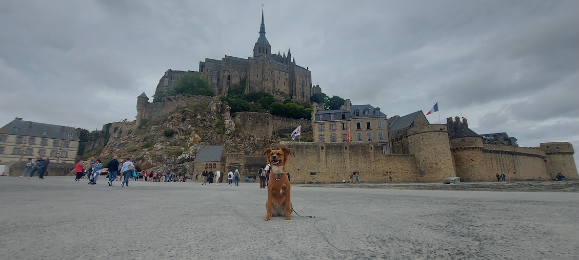 Sara vor dem Mont Saint Michel