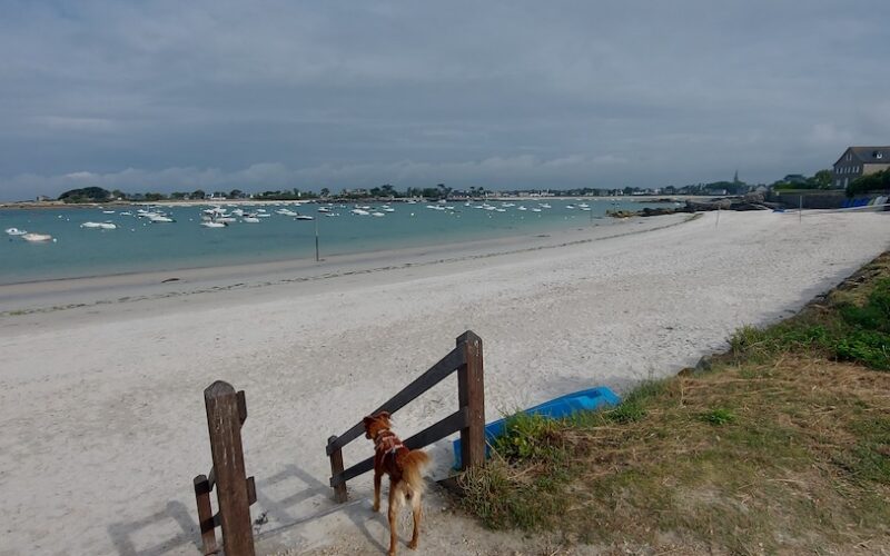 Hier gibt es einen direkten Zugang zum "eigenen" Strand