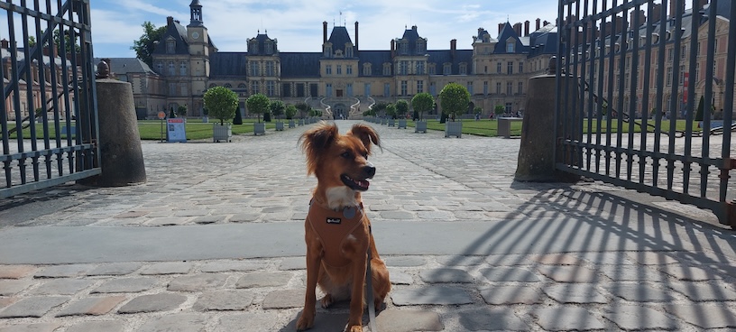 Das berühmte Chateau Fontainebleau habe wir nur von außen besichtigt