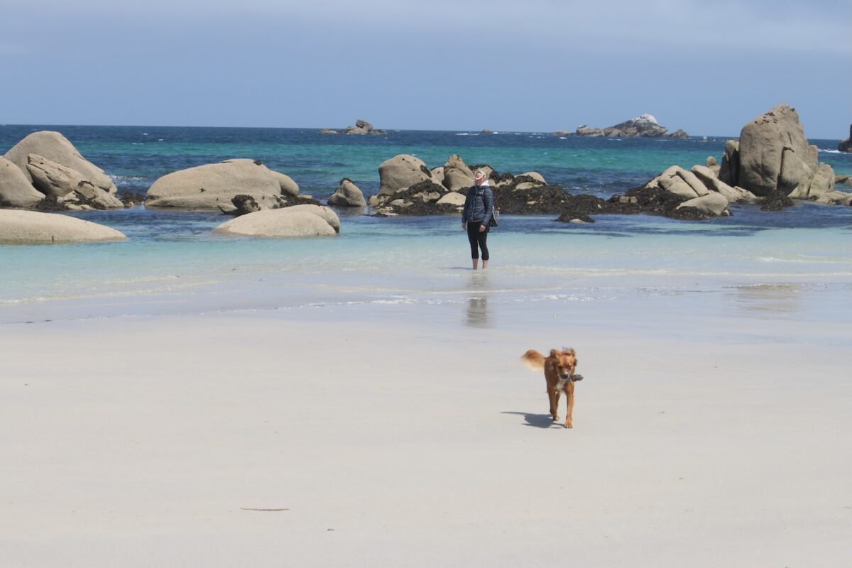 Roadtrip Normandie und Bretagne mit Hund am Strand