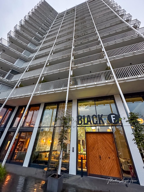 Der Black F Tower in Freiburg eignet sich prima für eine hundefreundliche Auszeit mit einem Hund!