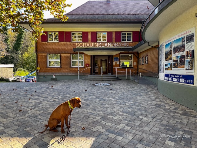Die Talstation der Schauinslandbahn befindet sich in der Gemeinde Horben.