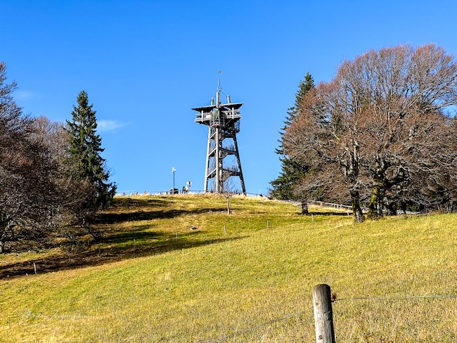 Den Schauinslandturm lasse ich aus ... da ging's wieder bergauf ...