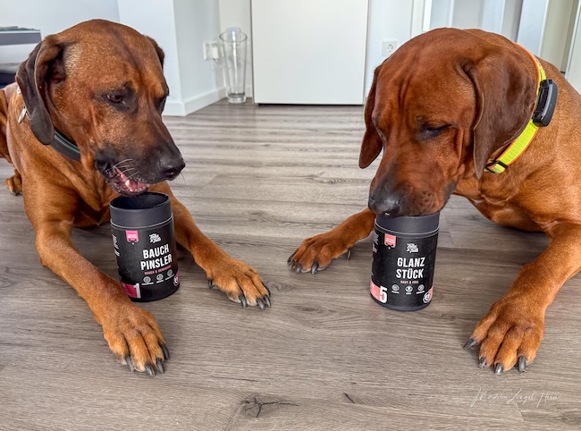 Selbst der sonst sehr vorsichtige Raban findet die funktionalen Snacks von Tales & Tails sehr lecker ... das will etwas heißen!