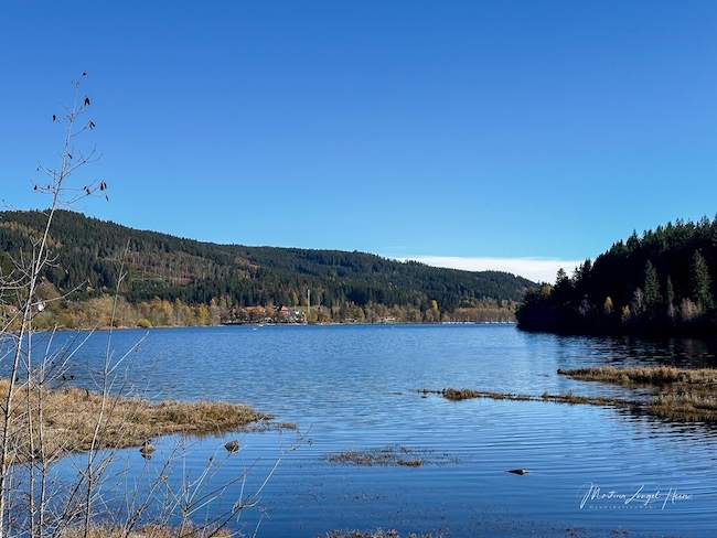 3 Tipps fürs Wandern rund um Freiburg: Der Schluchsee gehört auf jeden Fall dazu