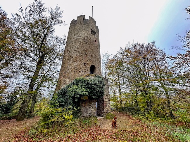 Ritter Charly wacht am Burgturm ...