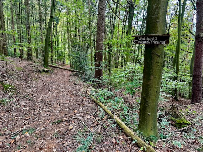 3 Tipps fürs Wandern rund um Freiburg Auf dem Waldpfad ging's runter bis um Wildtalfriedhof.