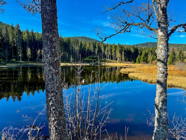 3 Tipps fürs Wandern rund um Freiburg Zauberhafte Ausblicke in die Natur am Schluchsee