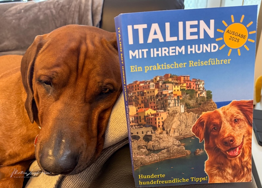 Charly träumt vom nächsten Urlaub