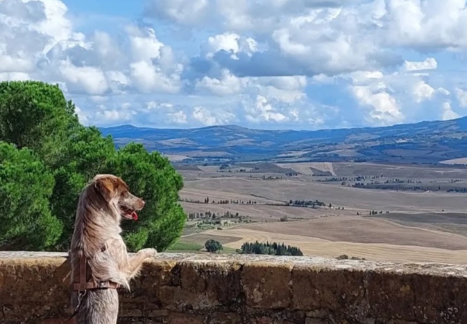 In Italien lässt es sich auch hervorragend mit Hund wandern (Foto: S. Smulders)