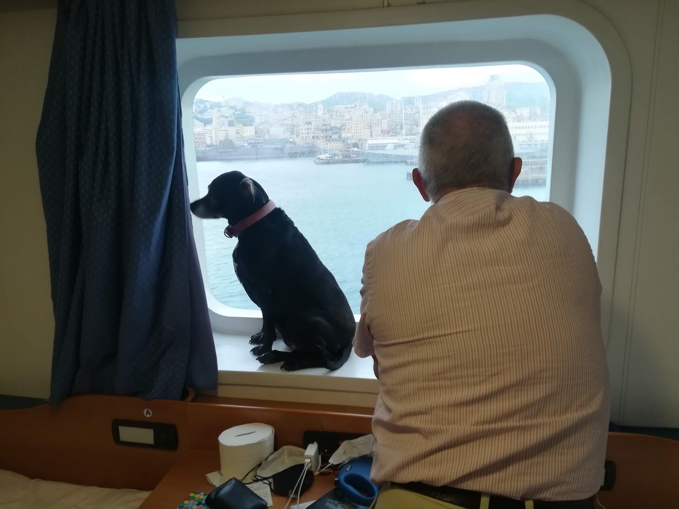 Natürlich fehlen im Reiseführer "Italien mit Ihren Hund" auch nicht die Reisebedingung für Hunde auf Fähren (Foto: S. Smulders)