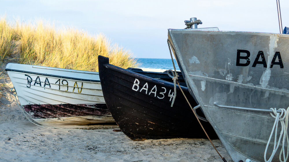 Auch in Baabe gibt es einen Hundestrand I Foto: Sina Dieterle