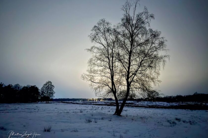 Vollmondwanderung im Pietzmoor am 1. Februar 2026