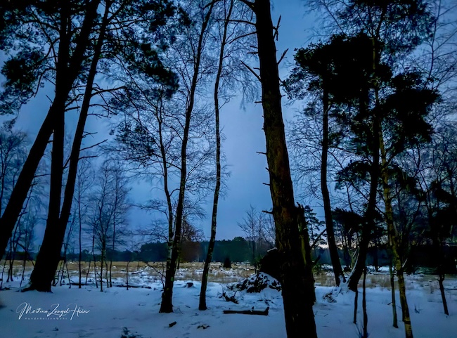 Vollmondwanderung im Pietzmoor - nur ohne Mond