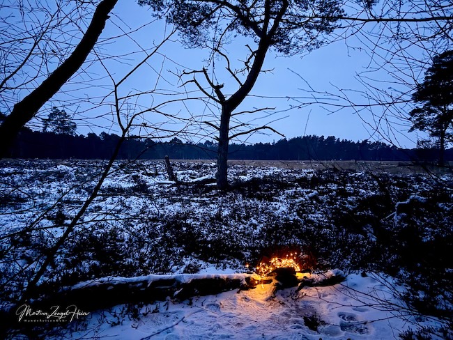 Schon von weitem weist und ein Leuchten den Weg durchs Moor ...