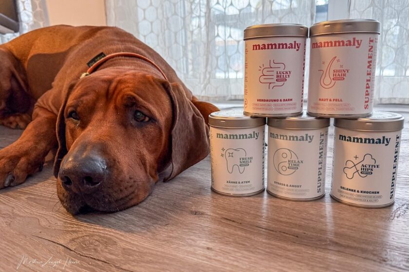 Charly und Raban testen die neuen mammaly Toppings