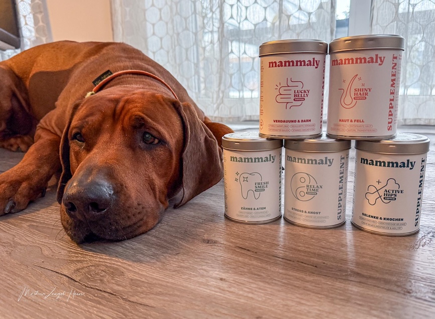 Charly und Raban testen die neuen mammaly Toppings