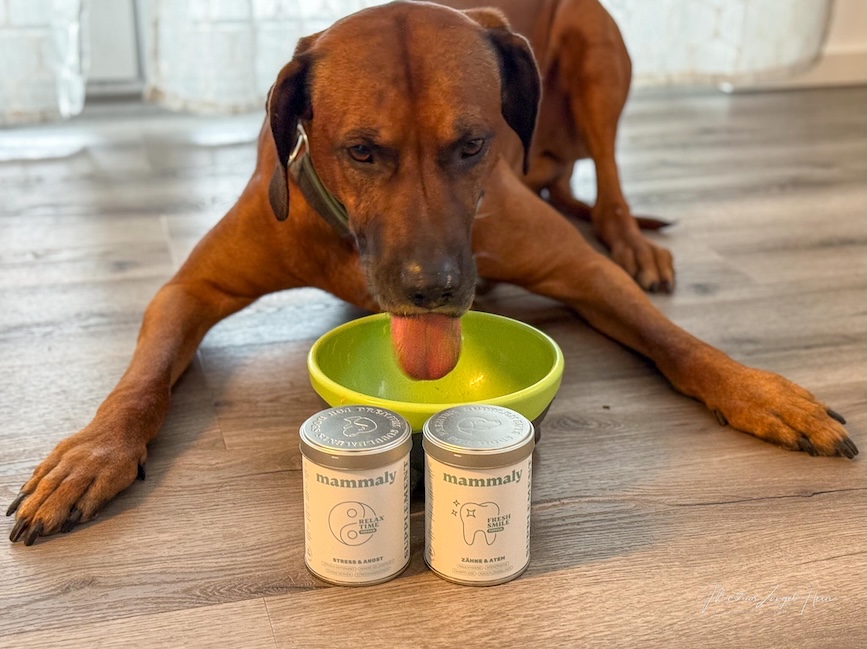 Auch wenn er es nie zugeben würde, die mammaly Toppings scheinen Raban doch zu schmecken.