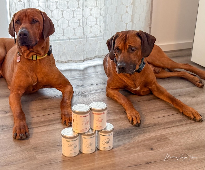 Die neuen mammaly Toppings sind sicherlich kein Schnäppchen, aber ihren Preis wert.