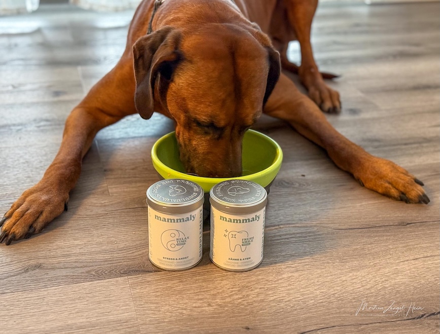 Wenn das Pulver ordentlich "versteckt" ist, schmeckt es auch Raban.