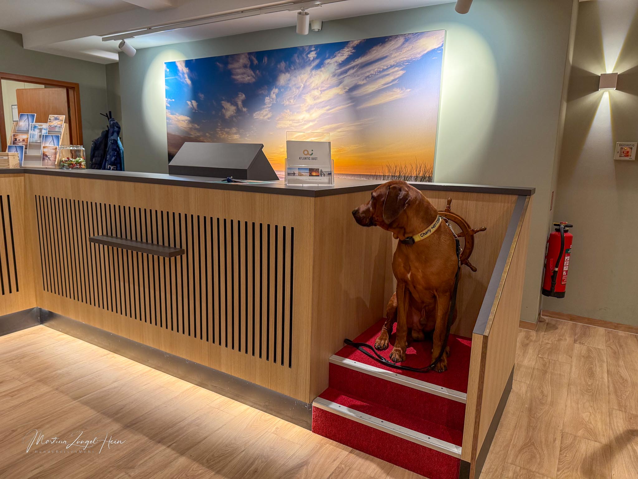 Charly und ich haben uns sehr wohl im Hotel Atlantic Juist gefühlt.