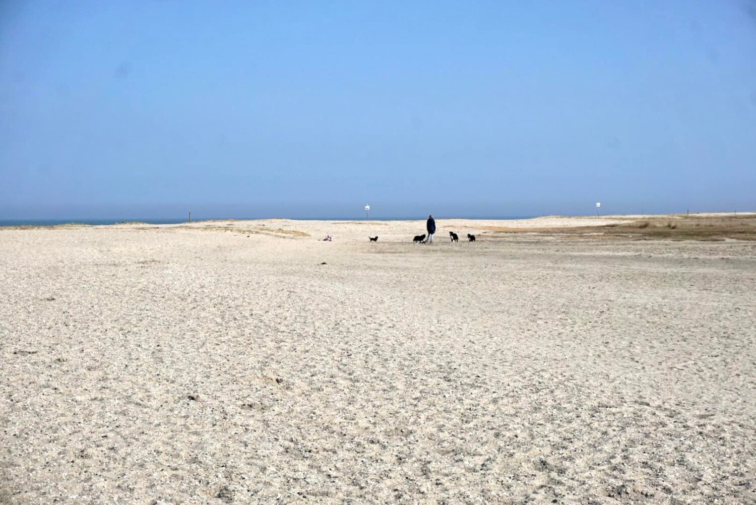 Mir hat der Hundestrand in Hooksiel am besten gefallen, weil er so weitläufig ist / Foto: Sina Dieterle