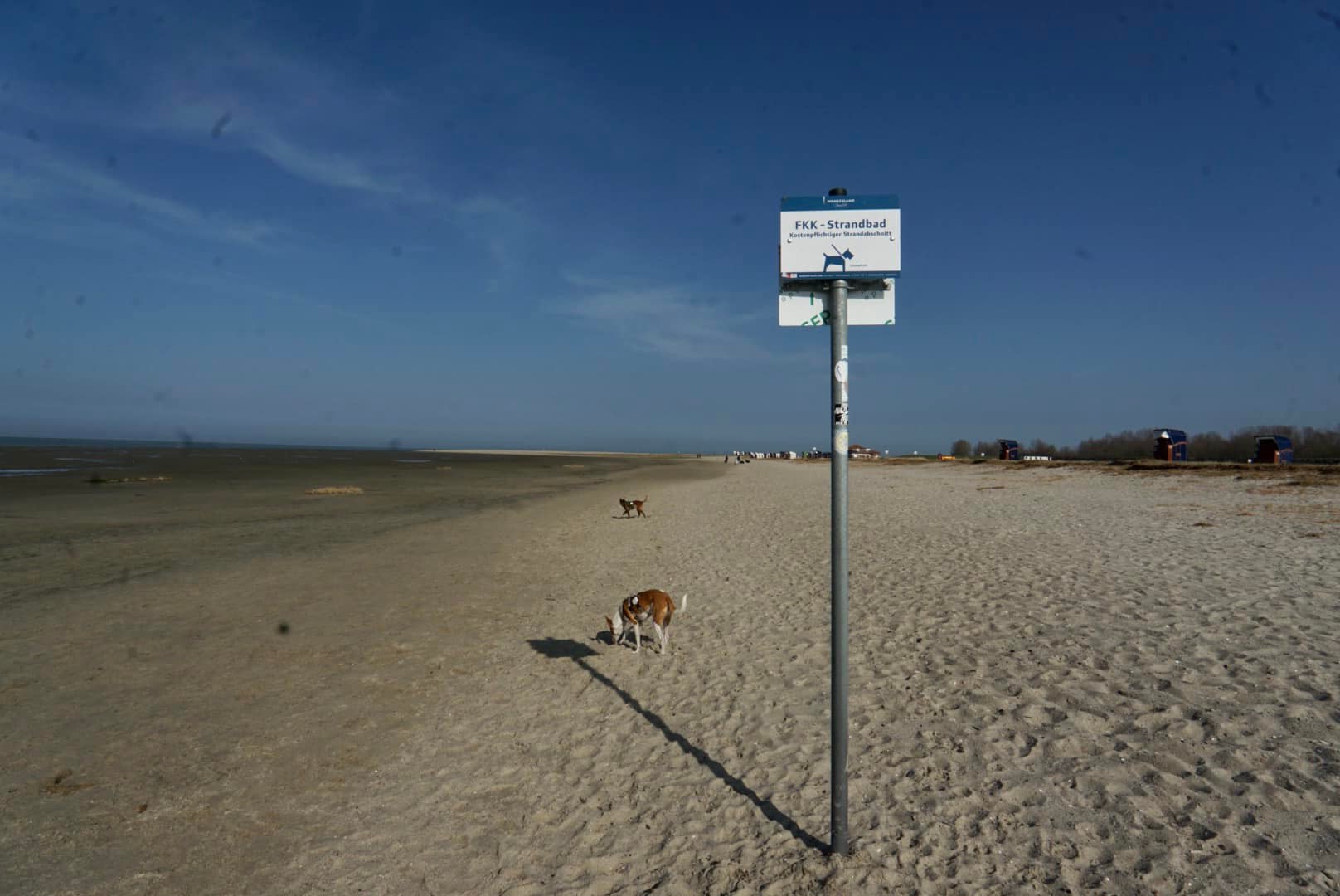 Wir haben Ende März einen langen Spaziergang am Strand gemacht / Foto: Sina Dieterle