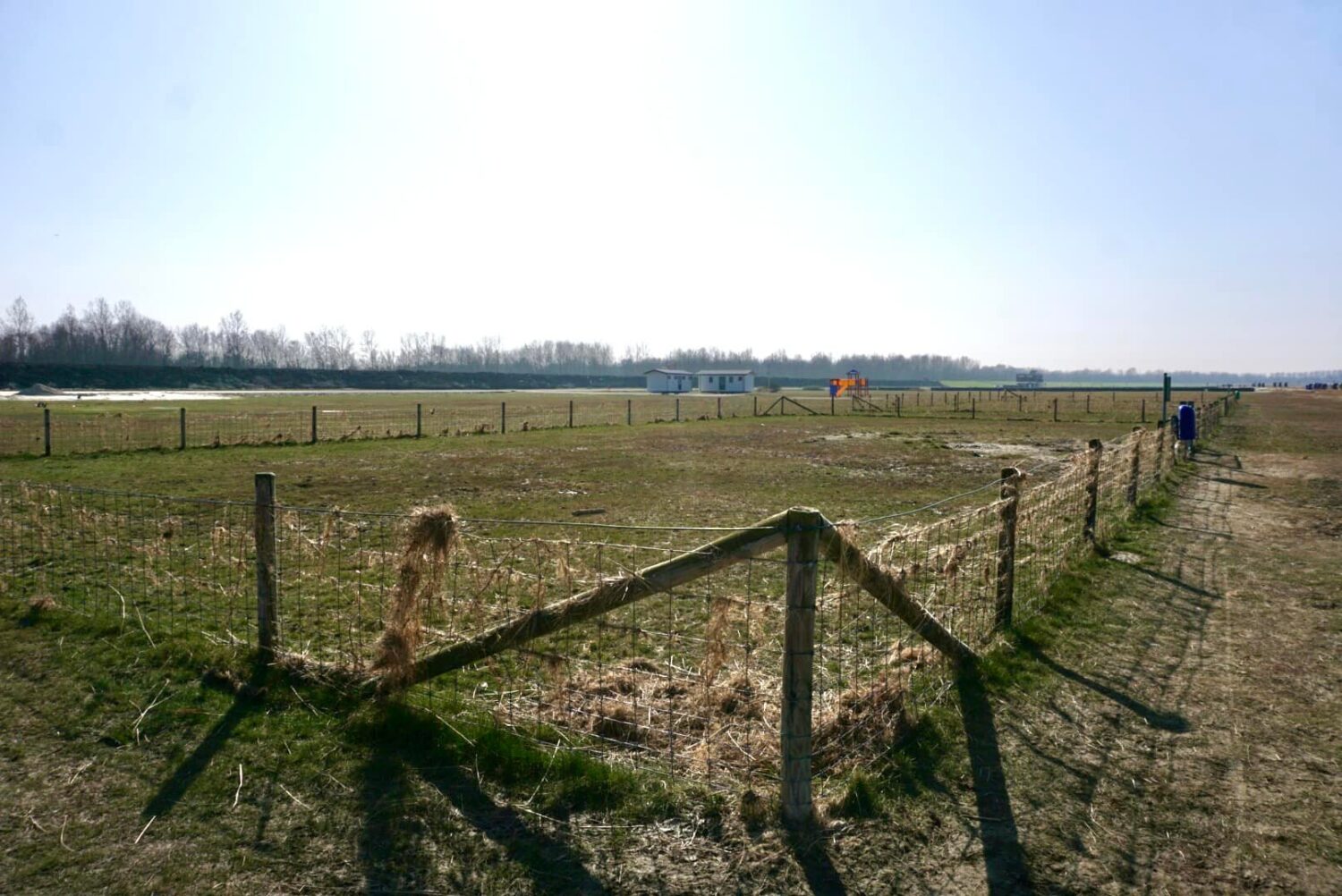 Hundefreilaufzone am Hundestrand Hooksiel / Foto: Sina Dieterle