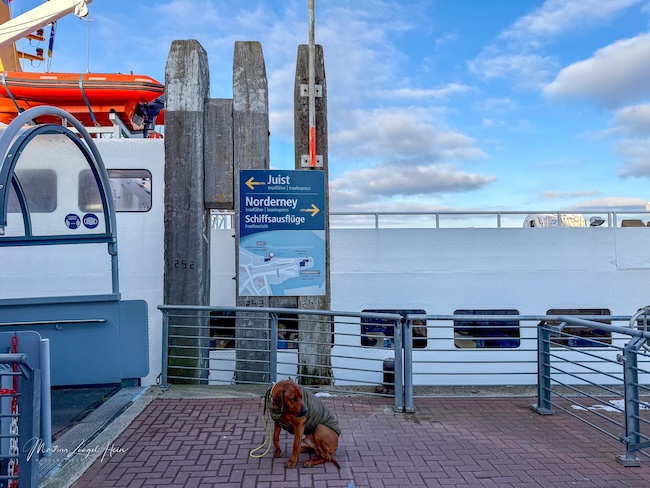 Die Inselfähre braucht von Norddeich nach Juist ungefähr 1,5 Stunden