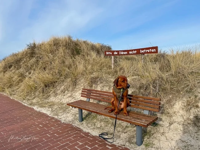 Wir sind auf der Strandpromenade in Richtung Hammersee gestartet