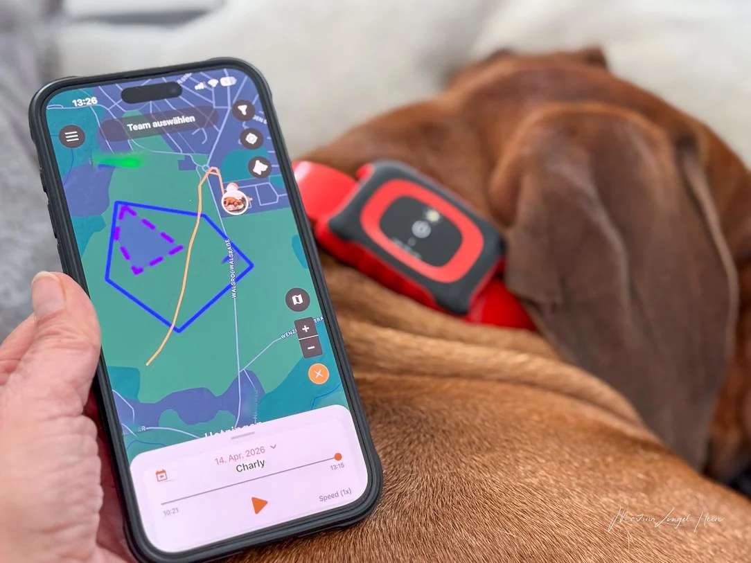 Die blauen Linien, die wie ein Haus aussehen, ist das eingegrenzte "Jagdgebiet".