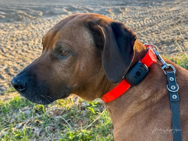 Raban testet den GPS-Tracker MiniFinder Atto Pro