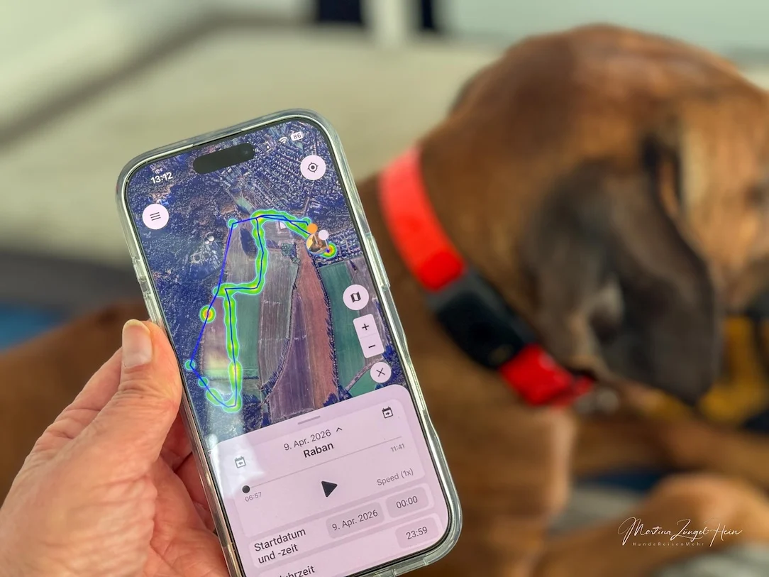 Der Verlauf eines Spaziergangs lässt sich später nachverfolgen und auch als kleines Video abspielen.