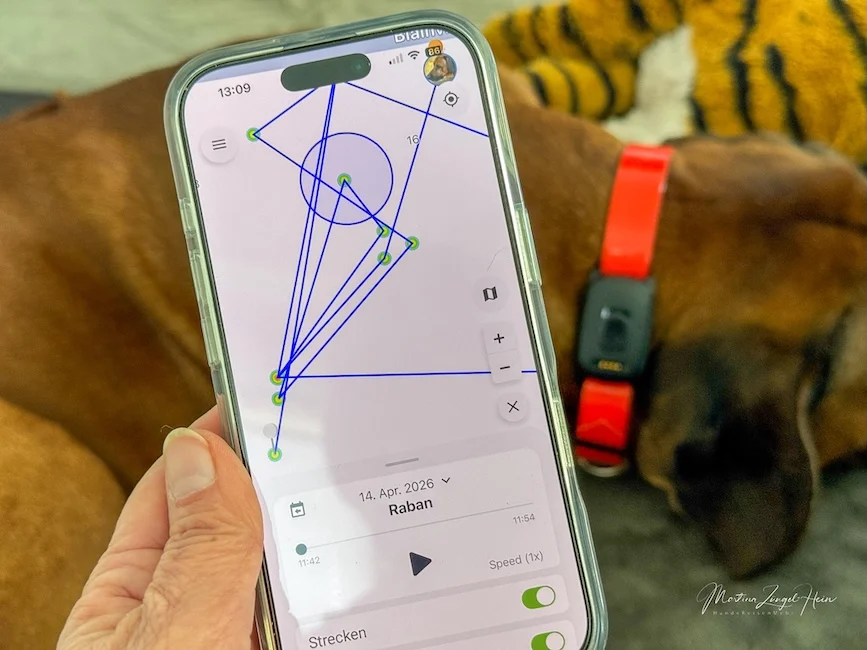 So sieht der Verlauf im MiniFinder Atto Pro übrigens nach dem Toben im Garten aus ... 
