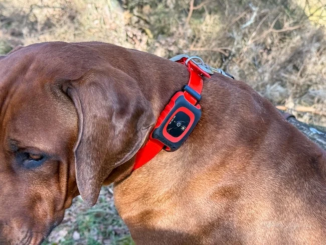 Der reizende Gemahl war überrascht von der Komplexität des MiniFinder Rex