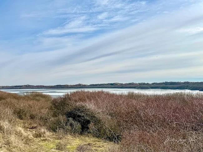 Der Hammersee in der Wintersonne