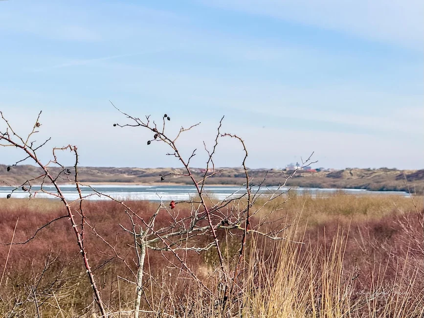 Der Hammersee mit Blick auf das Inselzentrum