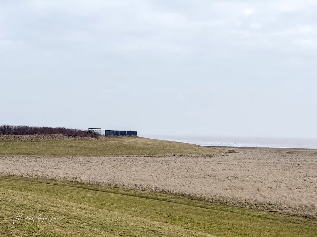 Der Hundeauslauf auf Juist ist etwa einen Kilometer vom Ort entfernt