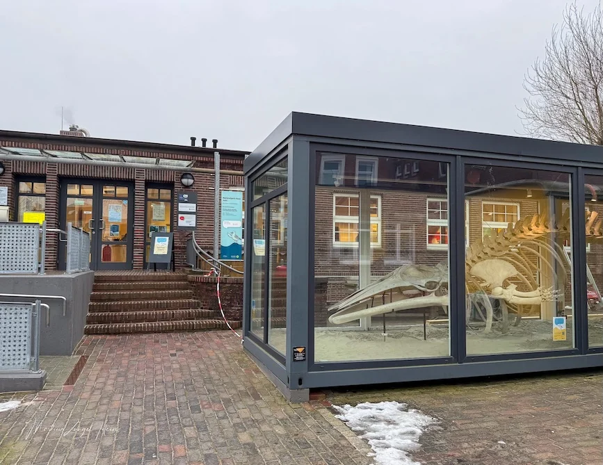 Das Nationalpark-Haus auf Juist liegt zentral am Kurplatz