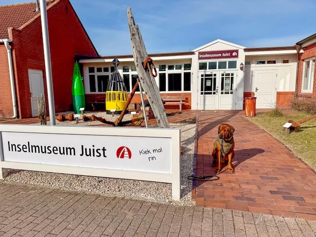 Im Inselmuseum sind Hunde nicht erlaubt