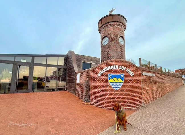Juist ist grundsätzlich hundefreundlich