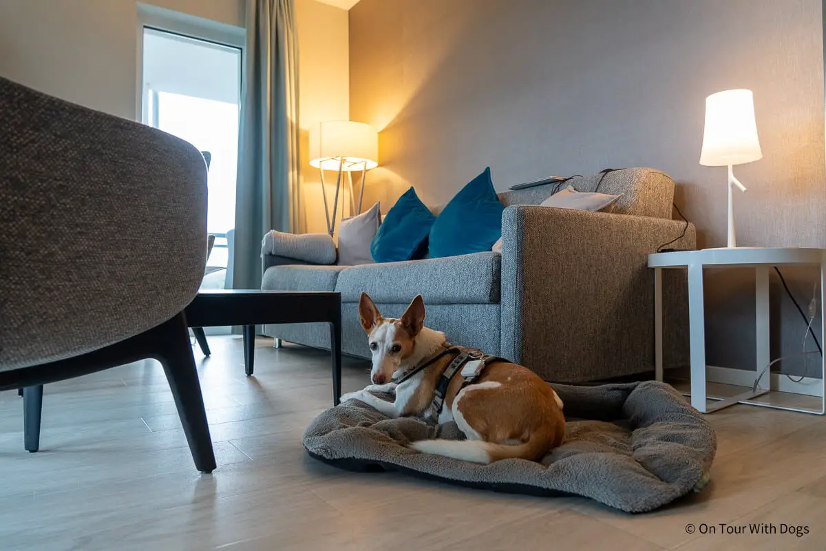 Wir haben uns in der hundefreundlichen Ferienwohnung wohl gefühlt | Foto: Sina Dieterle