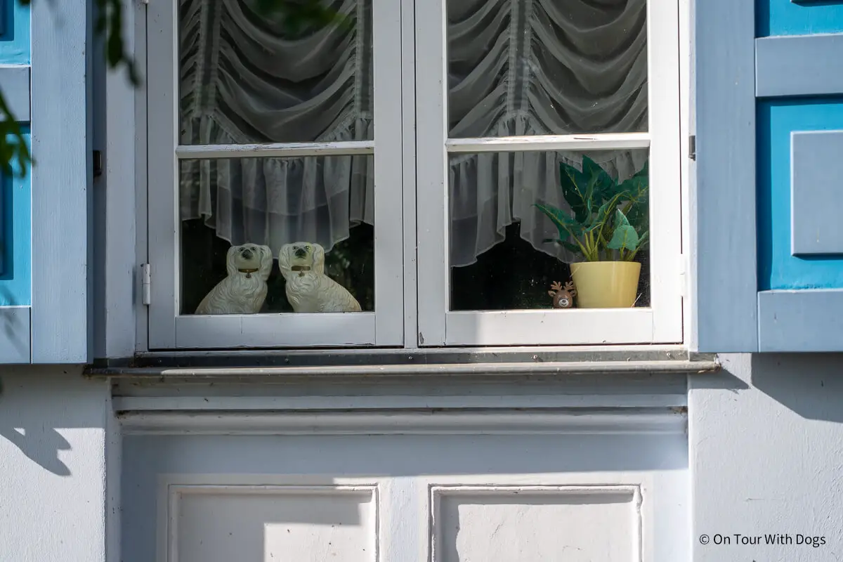Porzellanhunde im Fenster laden zum Stelldichein ein ... oder auch nicht I Foto: Sina Dieterle