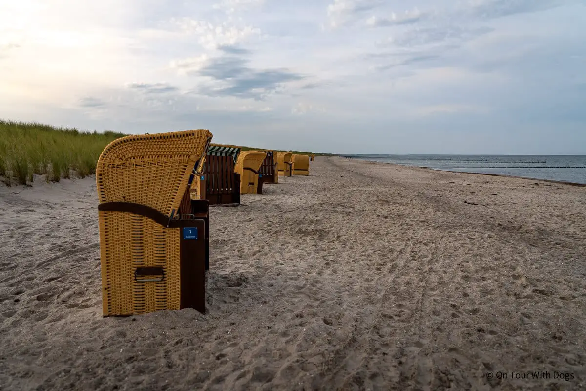 Strandkörbe laden zum Verweilen ein | Foto: Sina Dieterle