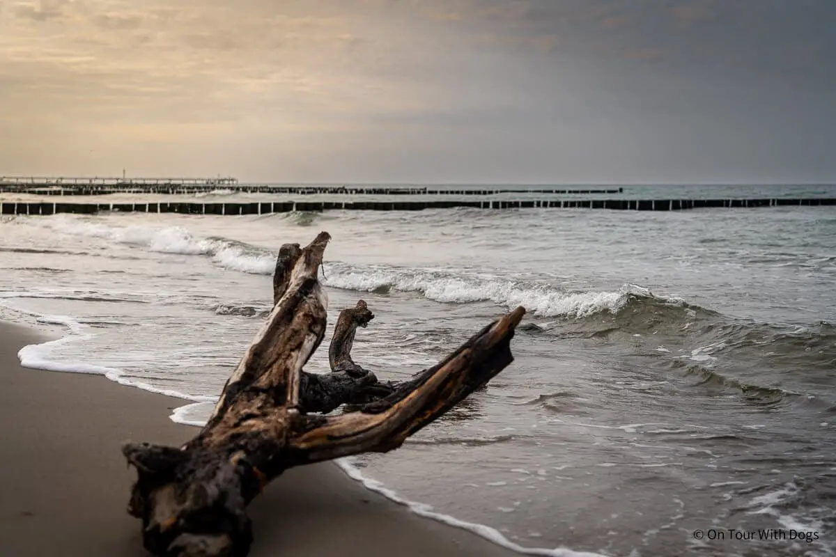 Life is better at the Beach | Foto: Sina Dieterle